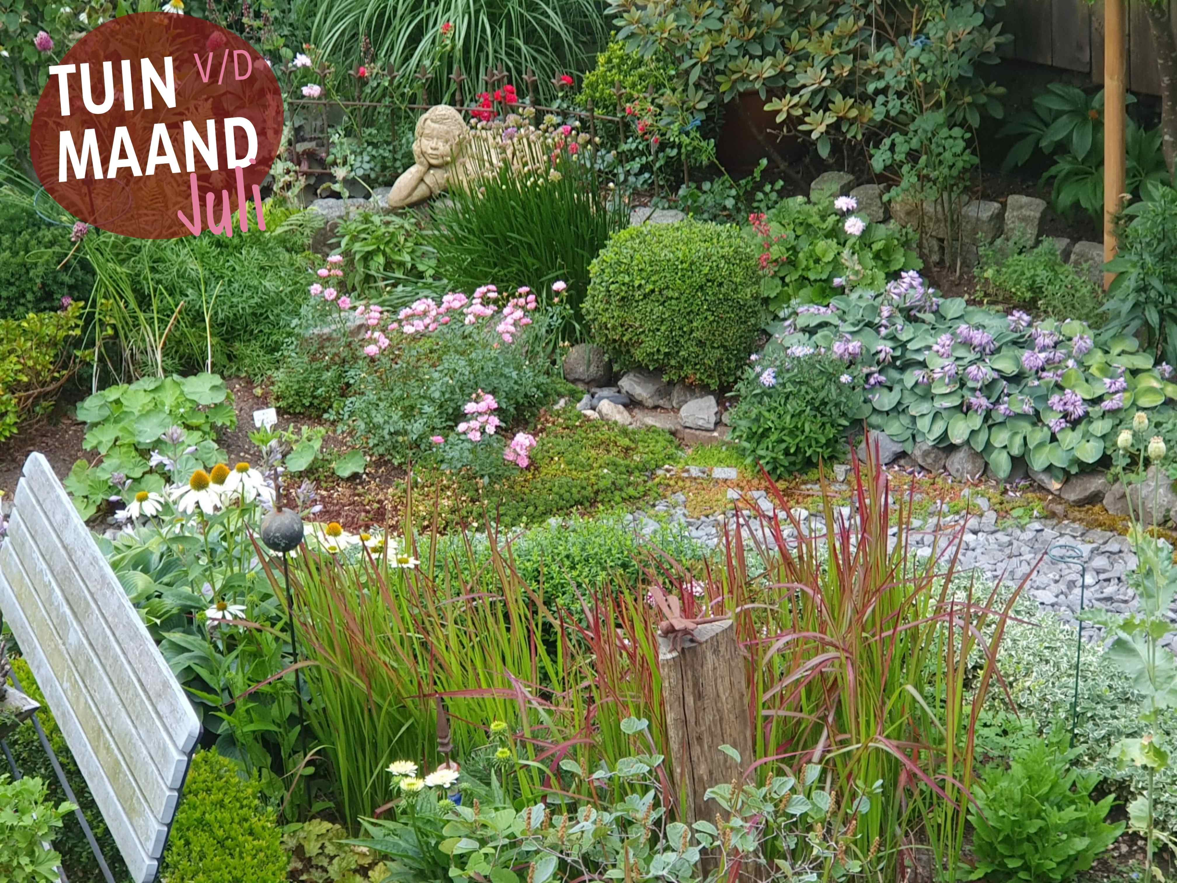 Tuin van de maand juli