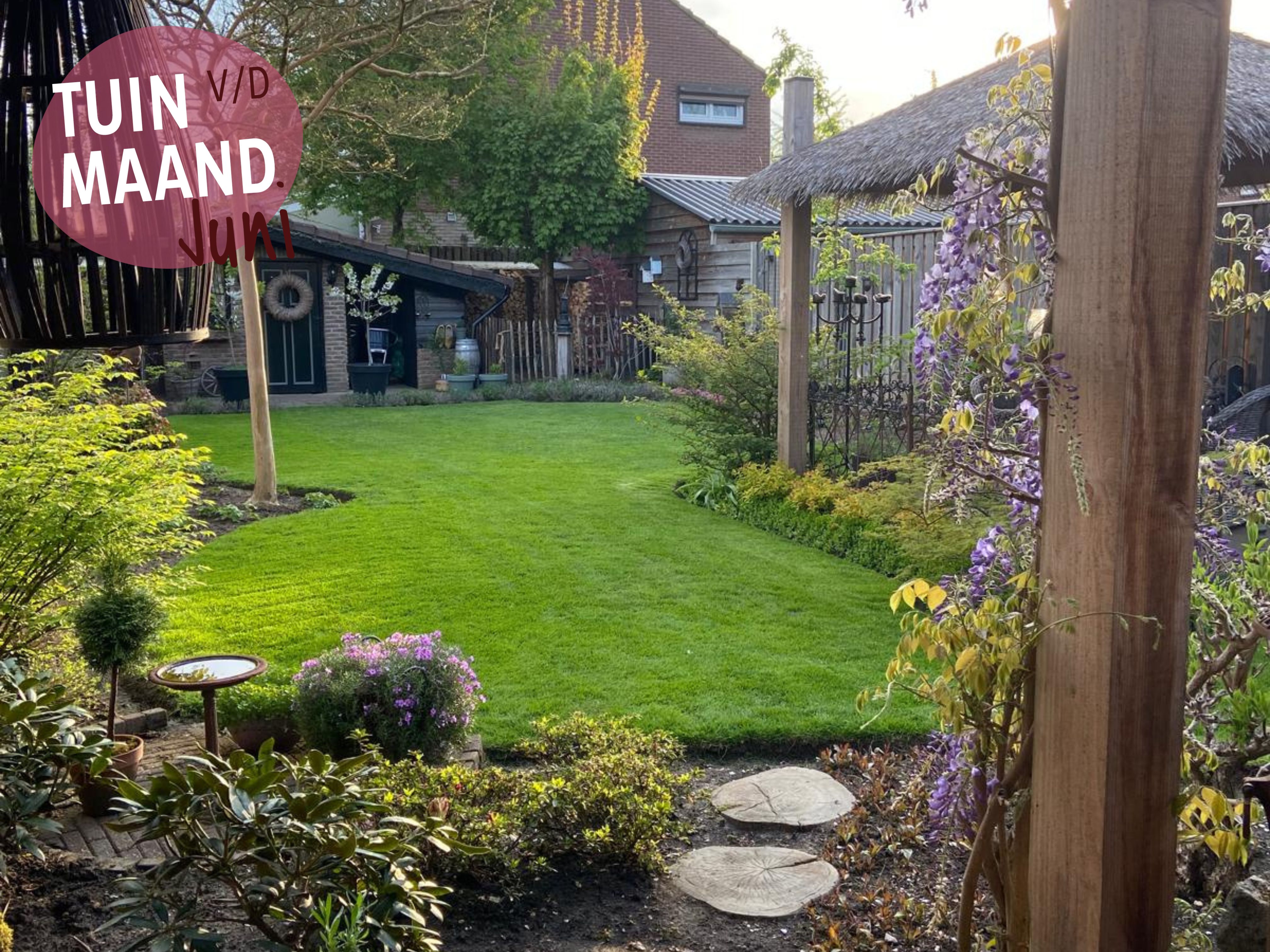 Tuin van de maand juni