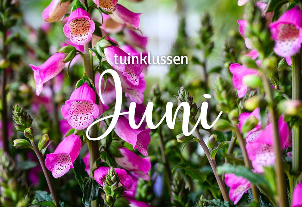 Tuinklussen van de maand | juni