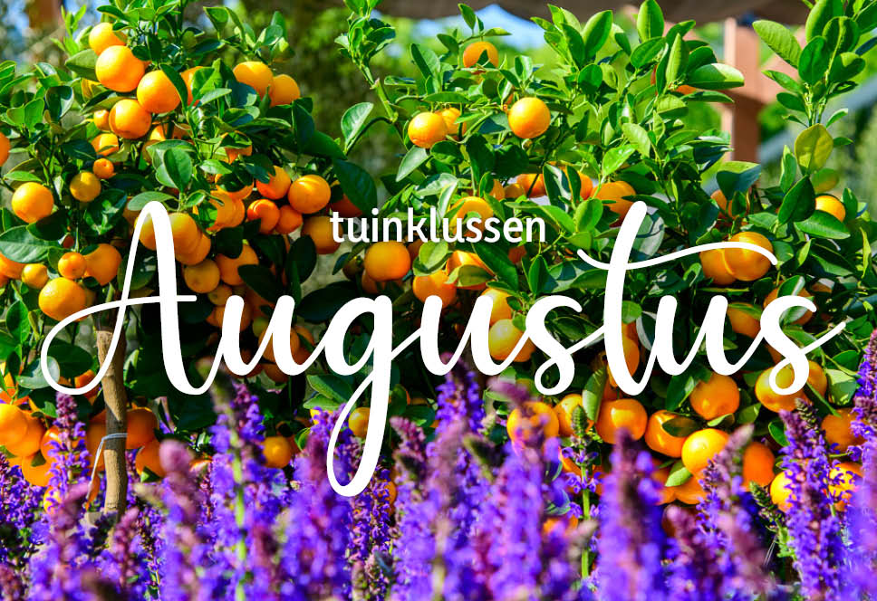 Tuinklussen van de maand | augustus