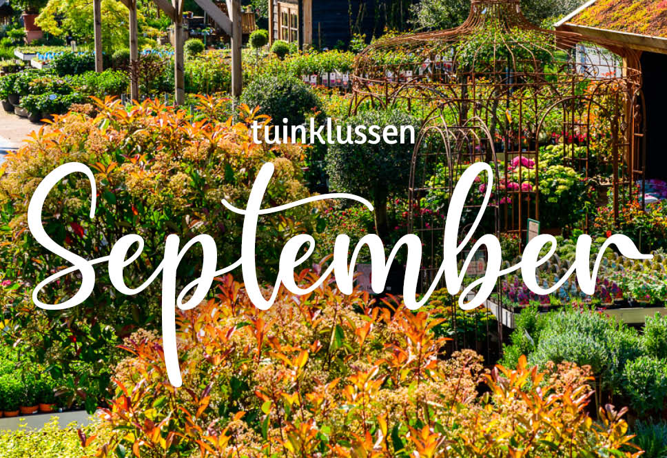 Tuinklussen van de maand | september