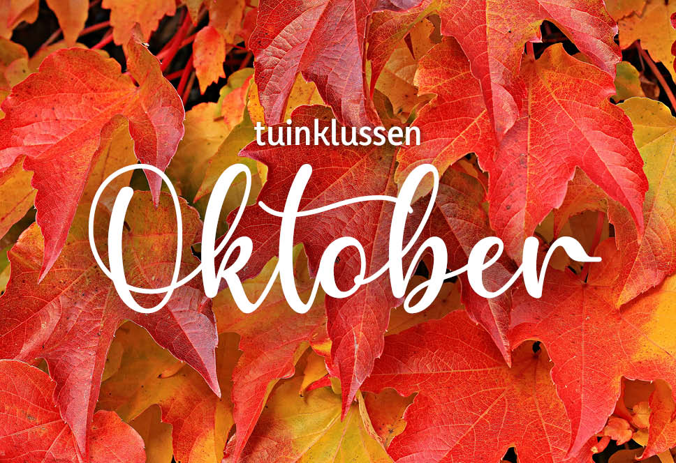Tuinklussen van de maand | oktober