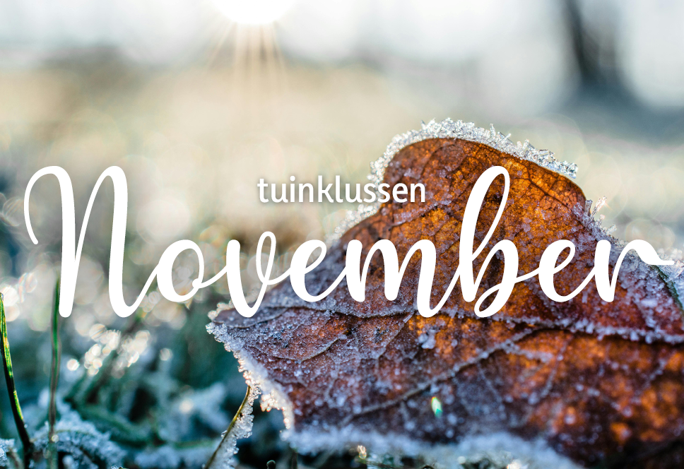 Tuinklussen van de maand | november