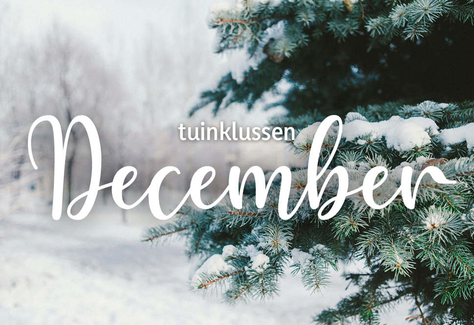 Tuinklussen van de maand | december