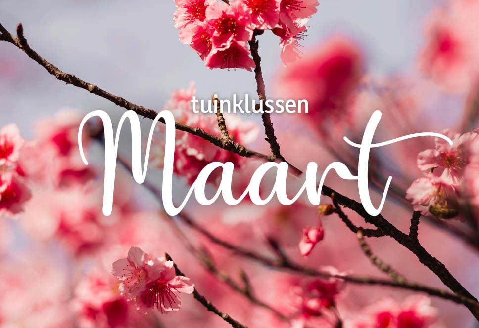 Tuinklussen van de maand | maart
